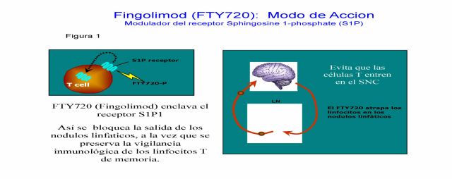 figura 1